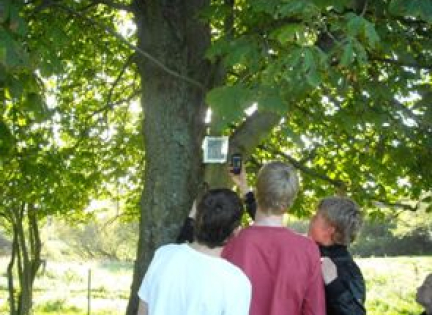 Børn der scanner QR-koder på et træ