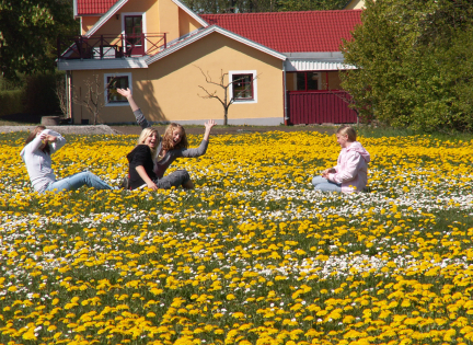 Udeskolepiger fra Odarslövs skola i Sverige - i mælkebøttemark. Foto: Malene Bendix.